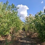 Парцел в Българово - 1300 кв.м за 21 €/кв.м - Снимка #1