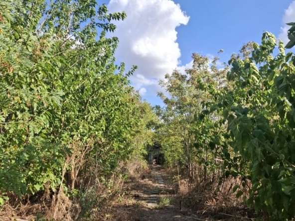 Парцел в Българово - 1300 кв.м за 21 €/кв.м - Снимка #1