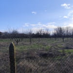 Парцел в с. Смирненци, Област Хасково - 1500 кв.м за 7 €/кв.м - Снимка #1