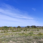 Парцел в Варна, м-т Фичоза - 863 кв.м за 87 €/кв.м - Снимка #1