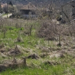 Парцел в с. Неговановци, Област Видин - 947 кв.м за 3 €/кв.м - Снимка #1