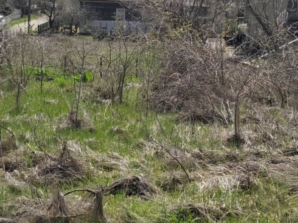 Парцел в с. Неговановци, Област Видин - 947 кв.м за 3 €/кв.м - Снимка #1