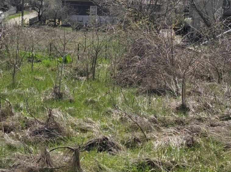 Парцел в с. Неговановци, Област Видин - 947 кв.м за 3 €/кв.м - Снимка #1