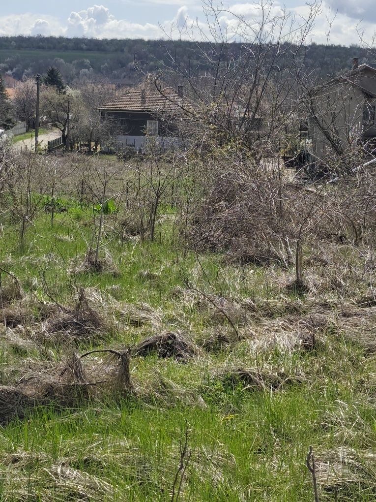 Парцел в с. Неговановци, Област Видин - 947 кв.м за 3 €/кв.м - Снимка #1