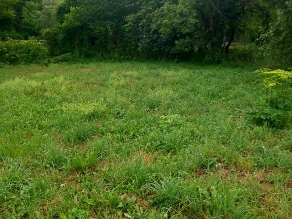 Парцел в Априлци - 1598 кв.м за 34 €/кв.м - Снимка #1