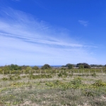 Парцел в Варна, м-т Фичоза - 863 кв.м за 90 €/кв.м - Снимка #1