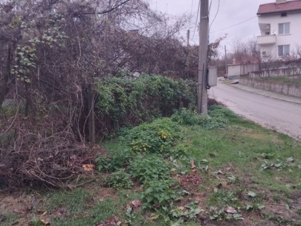 Парцел в с. Пиперево, Област Кюстендил - 230 кв.м за 40 €/кв.м - Снимка #1