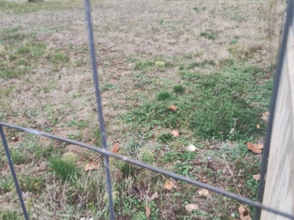 Парцел в с. Балша, Област София-град - 413 кв.м за 45 €/кв.м - Снимка #1