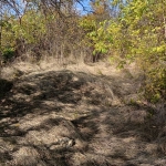 Парцел в Ловеч, Червен бряг - 1100 кв.м за 2 €/кв.м - Снимка #1