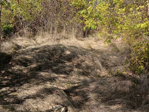 Парцел в Ловеч, Червен бряг - 1100 кв.м за 2 €/кв.м - Снимка #1