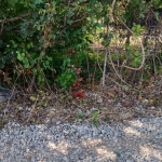 Парцел в Враца, Студентски град - 2000 кв.м за 6 €/кв.м - Снимка #1