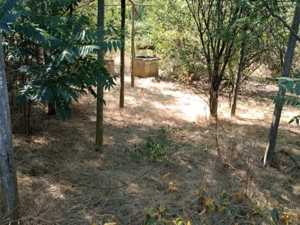 Парцел в с. Ловец, Област Стара Загора - 3200 кв.м за 5 €/кв.м - Снимка #1