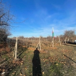 Парцел в с. Белащица, Област Пловдив - 2600 кв.м за 16 €/кв.м - Снимка #1