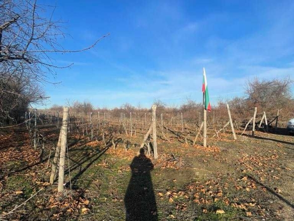 Парцел в с. Белащица, Област Пловдив - 2600 кв.м за 16 €/кв.м - Снимка #1