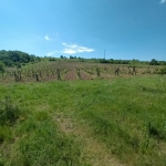 Земеделски имот в с. Стамболово, Област Хасково -  кв.м за 2125 €/дка - Снимка #1