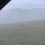 Къща в с. Цацаровци, Област София-област - 50 кв.м за 306 €/кв.м - Снимка #1