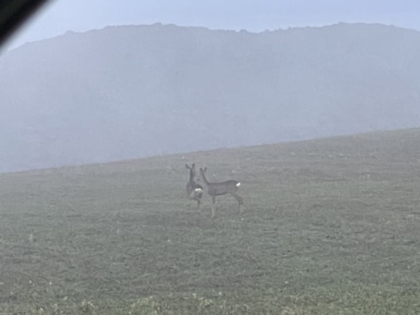 Къща в с. Цацаровци, Област София-област - 50 кв.м за 306 €/кв.м - Снимка #1