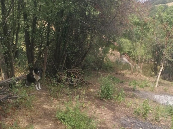 Парцел в Елин Пелин - 581 кв.м за 29 €/кв.м - Снимка #1