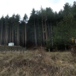 Парцел в Сапарева баня - 1200 кв.м за 85 €/кв.м - Снимка #1