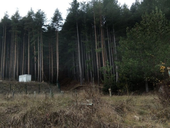 Парцел в Сапарева баня - 1200 кв.м за 85 €/кв.м - Снимка #1