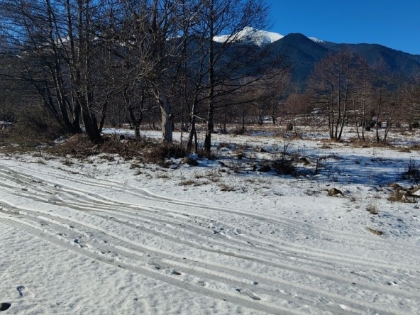 Парцел в Банско - 2100 кв.м за 77 €/кв.м - Снимка #1