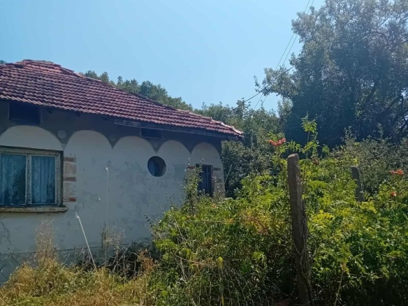 Къща в Бойчиновци - 40 кв.м за 204 €/кв.м - Снимка #1