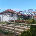 Къща в с. Ценович, Област Силистра - 150 кв.м за 299 €/кв.м - Снимка #1