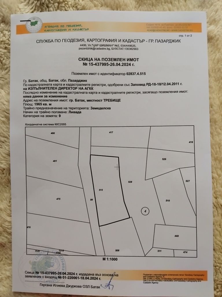 Земеделски имот в Батак -  кв.м за 51 €/дка - Снимка #1