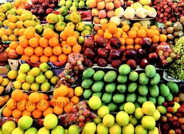 Парцел в с. Плодовитово, Област Стара Загора - 1000 кв.м за 10 €/кв.м - Снимка #1