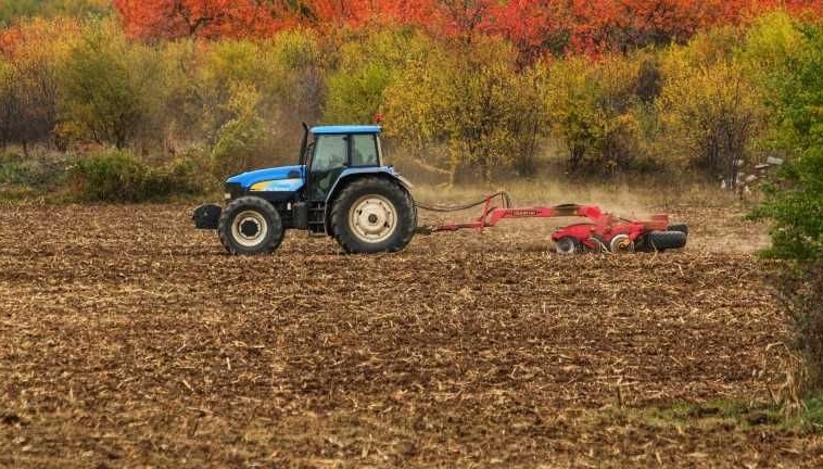 Земеделски имот в Исперих -  кв.м за 134 €/дка - Снимка #1