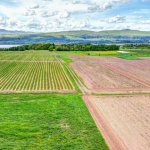 Земеделски имот в с. Орешак, Област Варна -  кв.м за 751 €/дка - Снимка #1