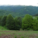 Парцел в с. Обединение, Област Велико Търново - 3000 кв.м за 2 €/кв.м - Снимка #1