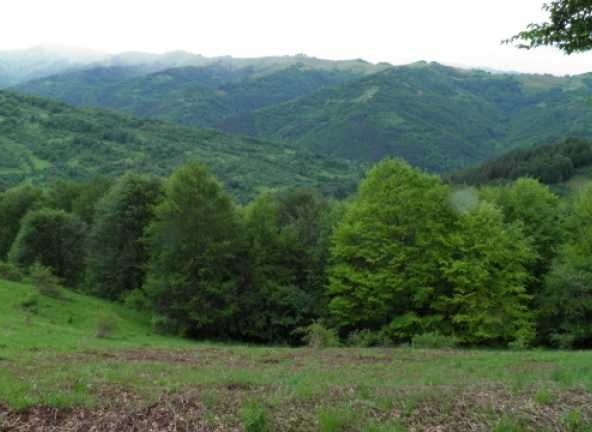 Парцел в с. Обединение, Област Велико Търново - 3000 кв.м за 2 €/кв.м - Снимка #1