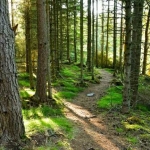 Земеделски имот в Аксаково -  кв.м за 10000 €/дка - Снимка #1