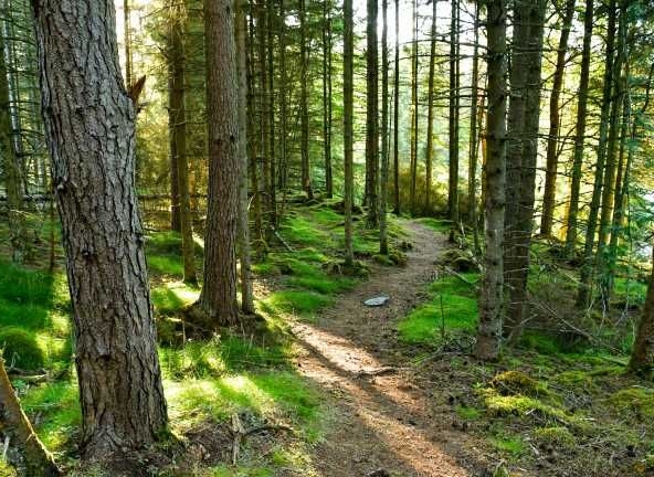 Земеделски имот в Аксаково -  кв.м за 10000 €/дка - Снимка #1