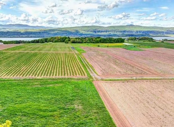 Земеделски имот в с. Орешак, Област Варна -  кв.м за 751 €/дка - Снимка #1