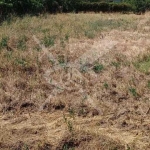 Парцел в Асеновград - 3001 кв.м за 8 €/кв.м - Снимка #1