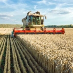 Земеделски имот в Добрич, Градска болница -  кв.м за 1130 €/дка - Снимка #1