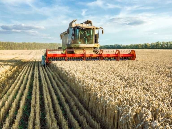 Земеделски имот в Добрич, Градска болница -  кв.м за 1130 €/дка - Снимка #1