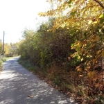 Парцел в Габрово, Център - 1900 кв.м за 6 €/кв.м - Снимка #1