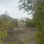 Парцел в с. Осеново, Област Варна - 1704 кв.м за 17 €/кв.м - Снимка #1