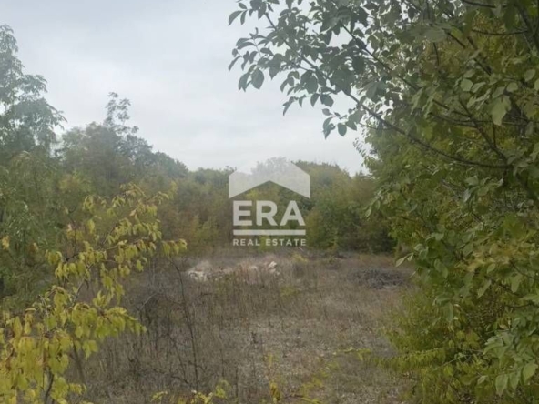 Парцел в с. Осеново, Област Варна - 1704 кв.м за 17 €/кв.м - Снимка #1