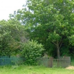 Парцел в с. Соколово, Област Добрич - 850 кв.м за 13 €/кв.м - Снимка #1