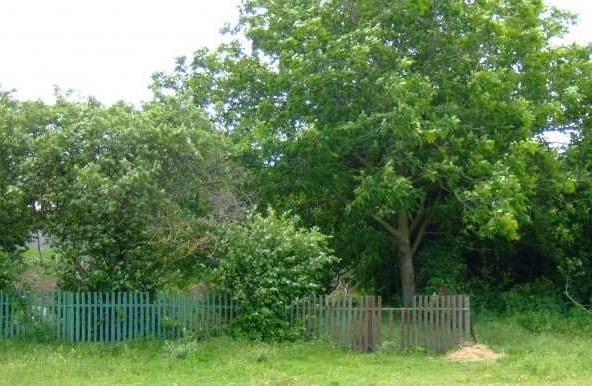 Парцел в с. Соколово, Област Добрич - 850 кв.м за 29 €/кв.м - Снимка #1