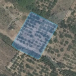 Парцел в с. Брестник, Област Пловдив - 3150 кв.м за 92 €/кв.м - Снимка #1