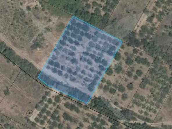 Парцел в с. Брестник, Област Пловдив - 3150 кв.м за 92 €/кв.м - Снимка #1