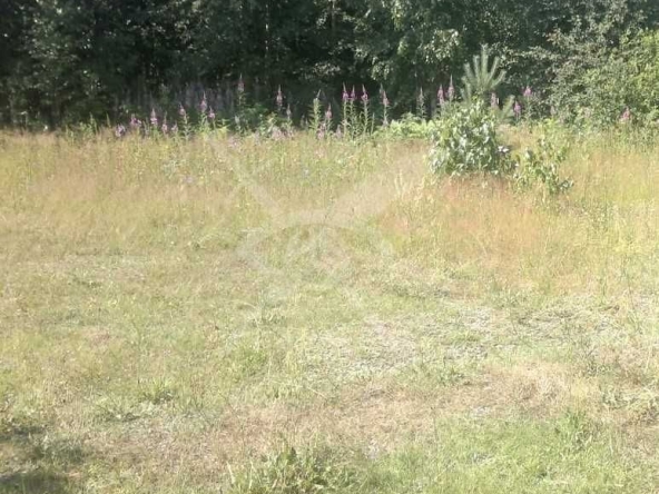 Парцел в Куклен - 5500 кв.м за 4 €/кв.м - Снимка #1