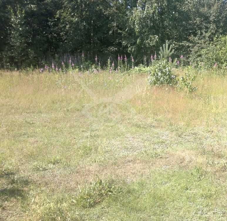 Парцел в Куклен - 5500 кв.м за 12 €/кв.м - Снимка #1