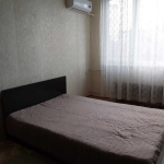 Дава се под наем Двустаен апартамент в Плевен, Мара Денчева - 45 кв.м за 229.5 € - Снимка #1