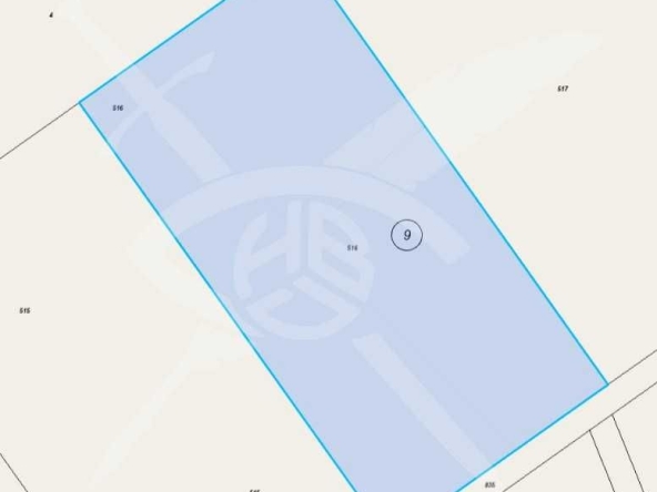 Парцел в с. Лозенец, Област Бургас - 5000 кв.м за 128 €/кв.м - Снимка #1